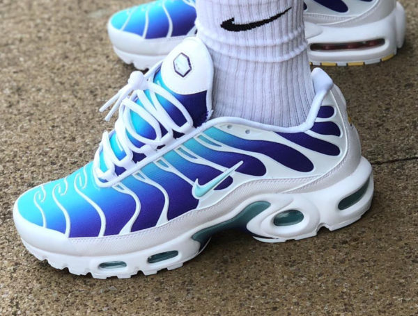 tn air max plus bleu